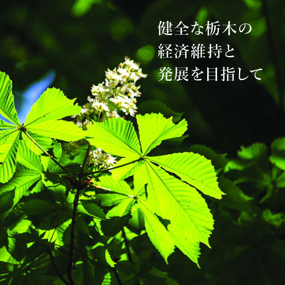 スライダー１_SP